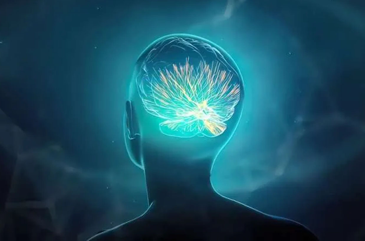 images/inthenews/DDW new-appointment-banner.jpg